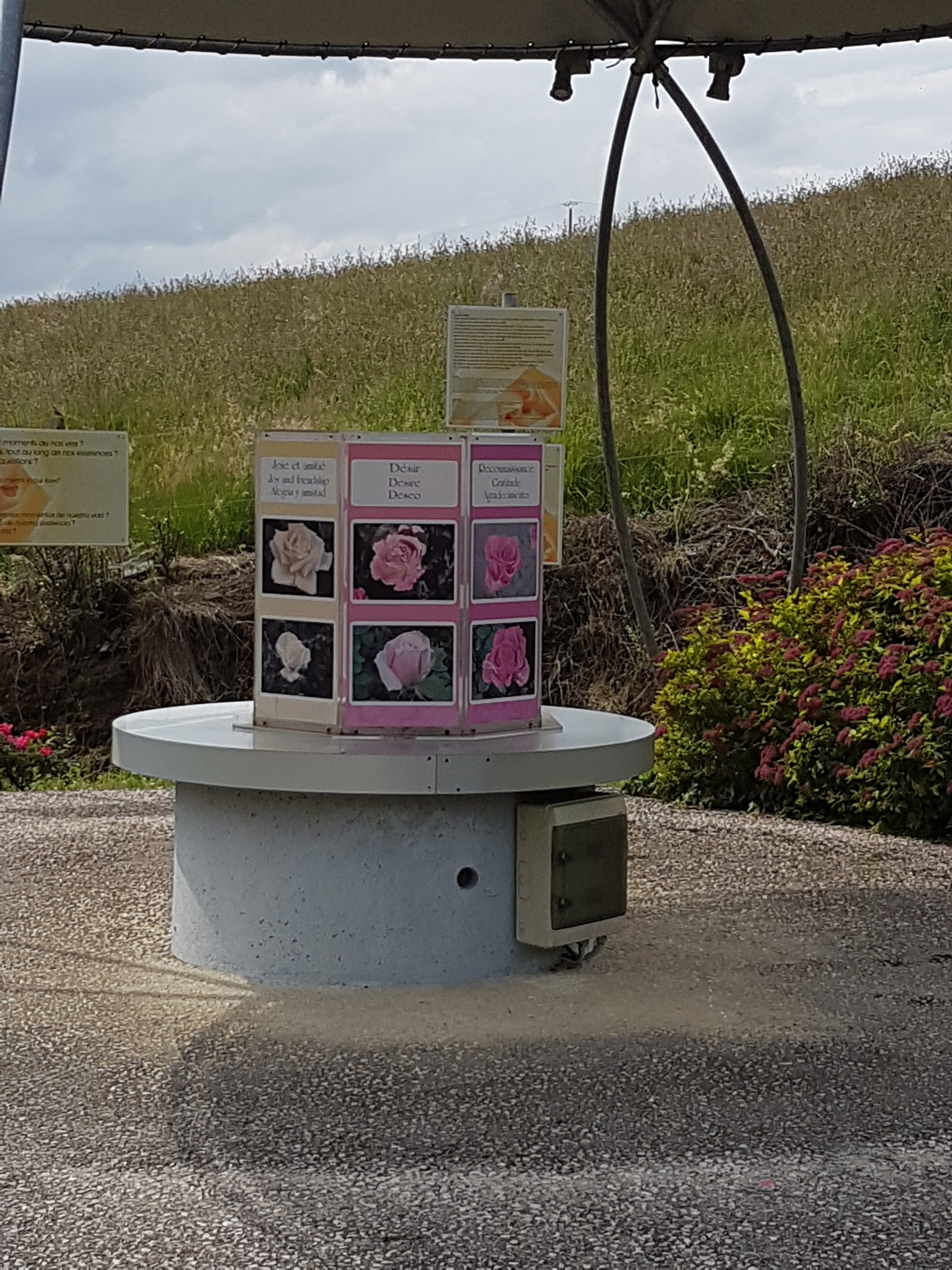 Photo n° 27 de l'avis de denis.o fait le 06/07/2018 à 20:25