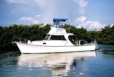 Photos of Abyss Dive Center