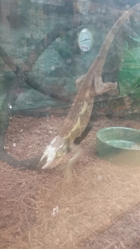 Pet Supply Store «Petco Animal Supplies», reviews and photos, 850 Statler Blvd, Staunton, VA 24401, USA