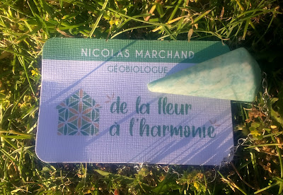 De la fleur à l'harmonie à Sion-les-Mines
