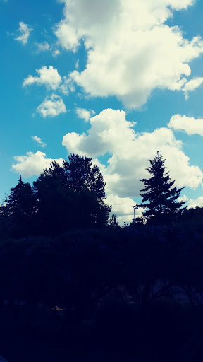 Community Center «SeaTac Community Center», reviews and photos, 13735 24th Ave S, SeaTac, WA 98168, USA