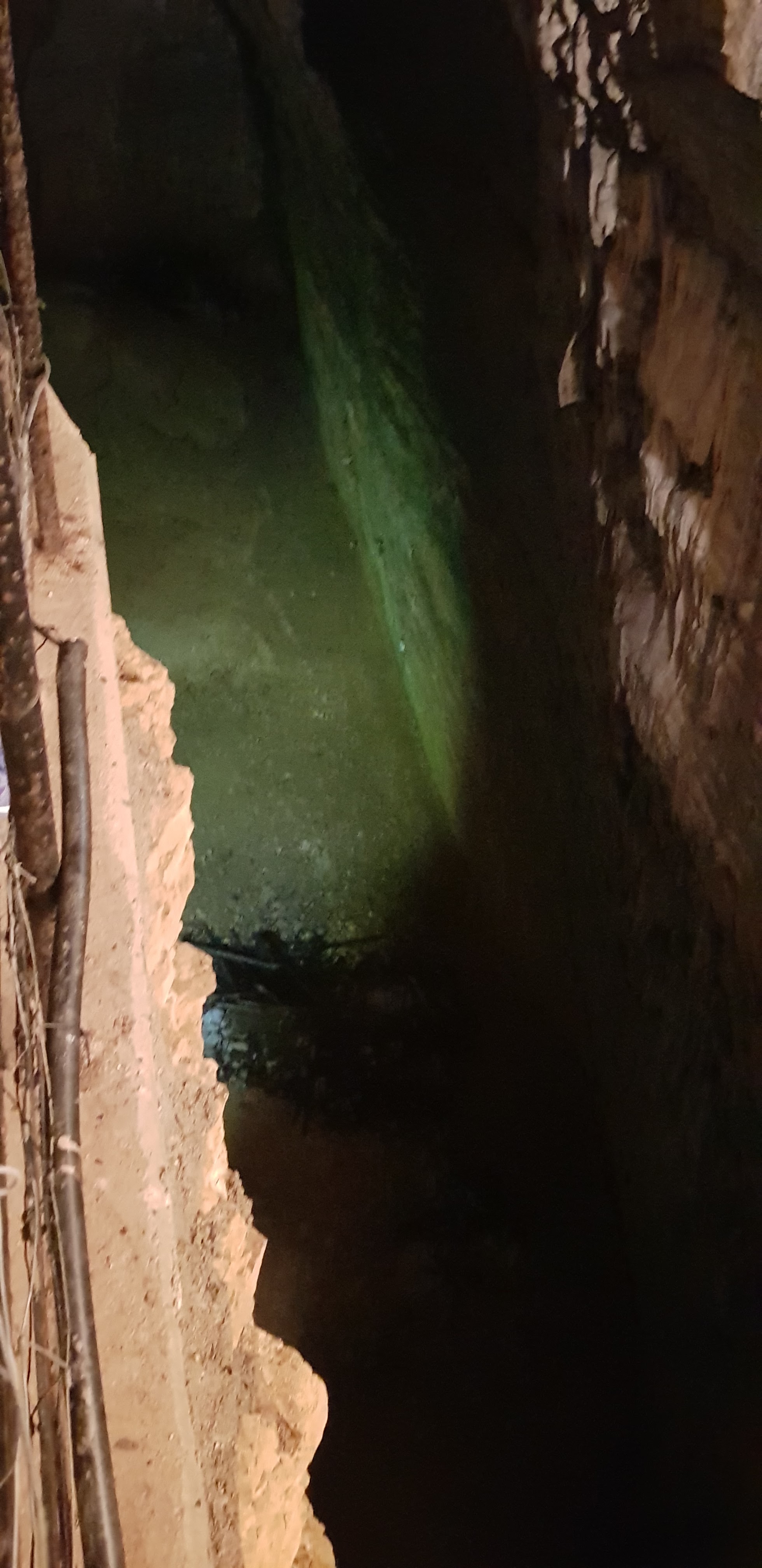 Photo n° 8 de l'avis de Papato.r fait le 04/08/2019 à 14:16
