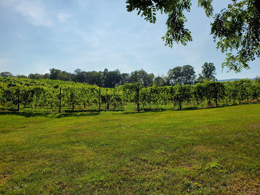 Vineyard «North Mountain Vineyard and Winery», reviews and photos, 4374 Swartz Rd, Maurertown, VA 22644, USA