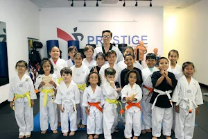 Prestige Martial Arts image