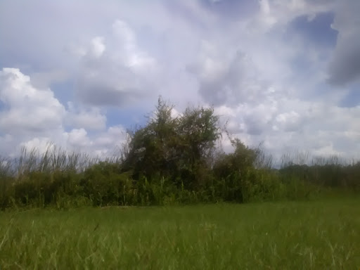 Park «Lake Park», reviews and photos, 17302 N Dale Mabry Hwy, Lutz, FL 33548, USA