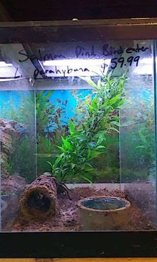 Pet Store «Pets Plus-Reptiles & Exotic», reviews and photos, 421 West Ave, Lockport, NY 14094, USA