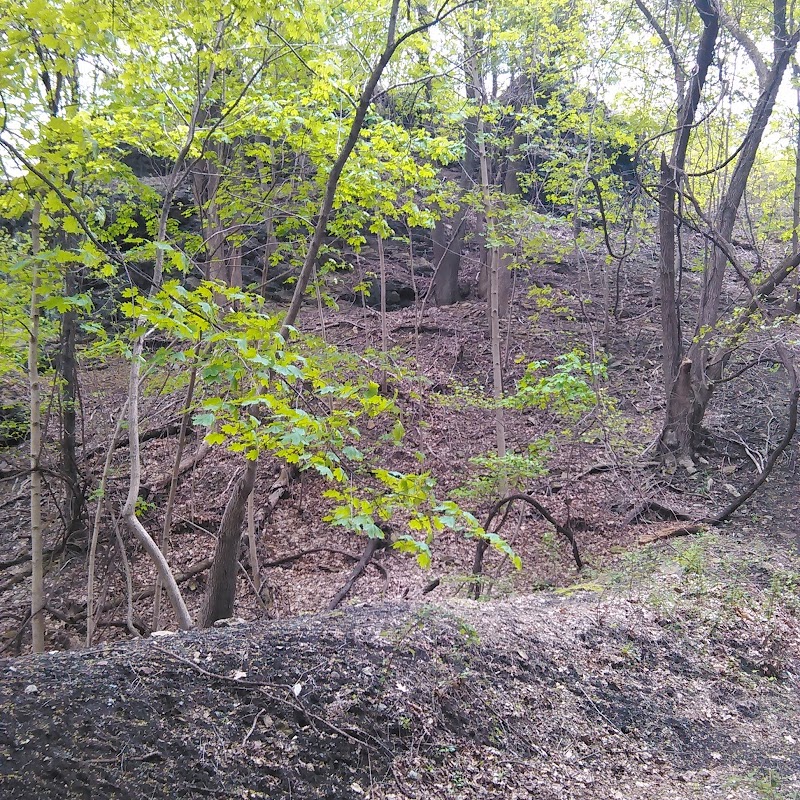 Delaware River Park