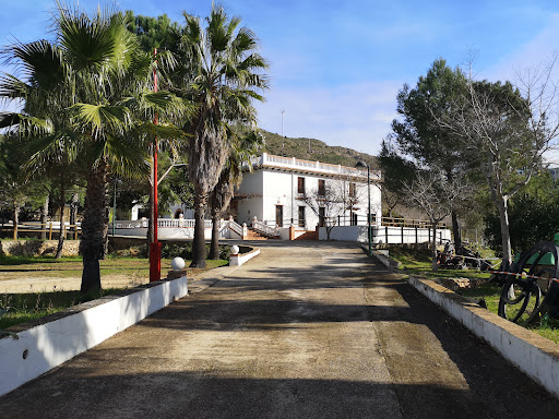 Hort de Soriano en Carcaixent