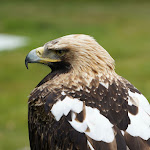 Photo n° 16 de l'avis de L1nda.E fait le 19/06/2023 à 08:52 pour Espace Rambouillet à Sonchamp