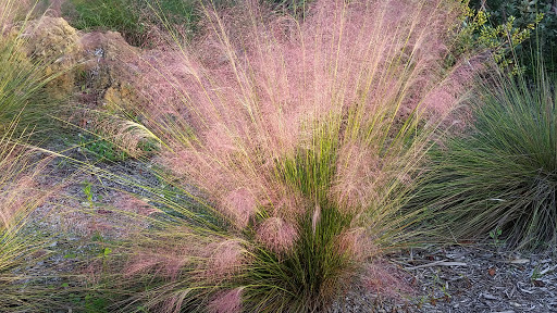 Park «Oak Hammock Park», reviews and photos, 9220 NW 44th Ct, Sunrise, FL 33351, USA