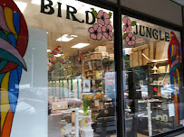 Bird Jungle - Photo 2 - Car repair in Scarsdale, NY, Yonkers
