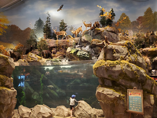 Sporting Goods Store «Bass Pro Shops», reviews and photos, 1 Bass Pro Dr, Bristol, TN 37621, USA