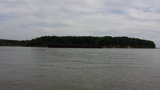 Tourist Attraction «Mallows Bay», reviews and photos, 1440 Wilson Landing Rd, Nanjemoy, MD 20662, USA