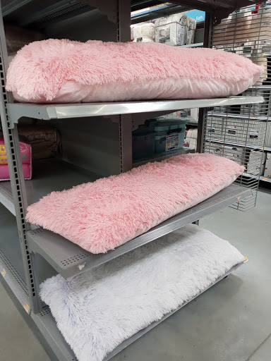 Department Store «Walmart Supercenter», reviews and photos, 160 Broadway, Raynham, MA 02767, USA