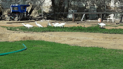 Campo de atletismo Sullana