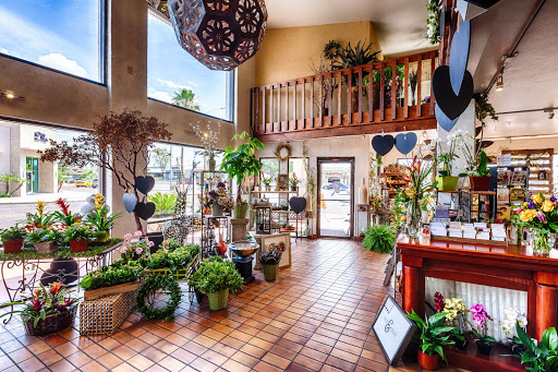 Florist «Cactus Flower Florists», reviews and photos, 10822 N Scottsdale Rd, Scottsdale, AZ 85254, USA