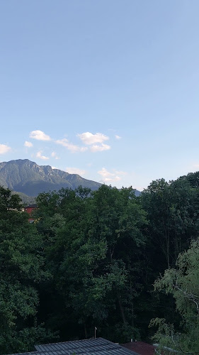 Rezensionen über Cantina Magiro in Bellinzona - Spirituosengeschäft