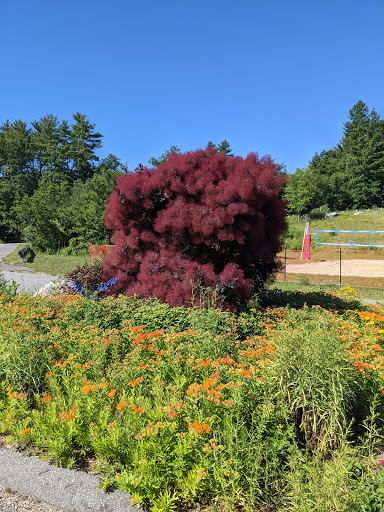 Park «NARA Park», reviews and photos, 25 Ledge Rock Way, Acton, MA 01720, USA