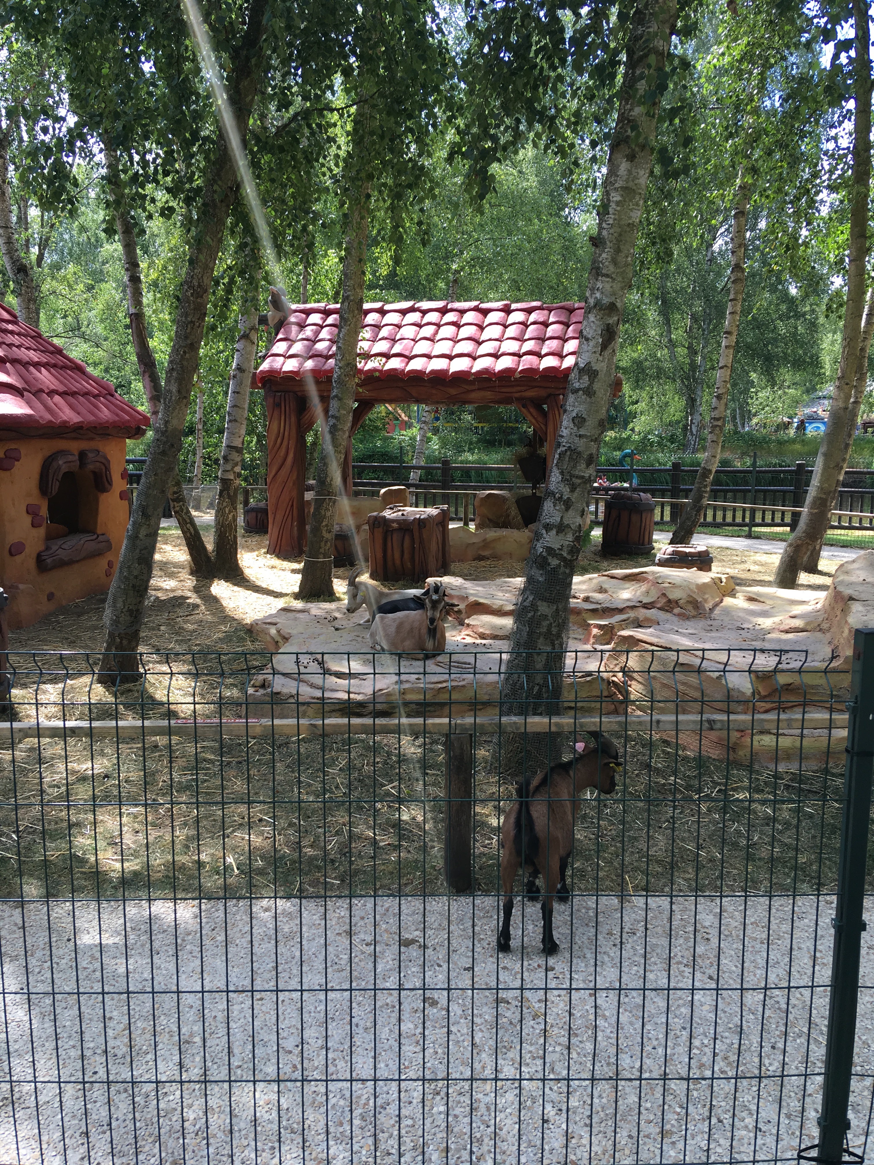 Photo n° 5 de l'avis de Ousmane.y fait le 12/07/2019 à 19:07
