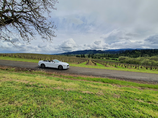 Vineyard «Tualatin Estate Vineyard», reviews and photos, 10850 NW Seavey Rd, Forest Grove, OR 97116, USA