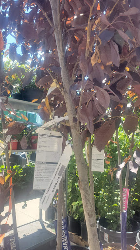 Home Improvement Store «The Home Depot», reviews and photos, 500 S Santa Fe Dr, Denver, CO 80223, USA