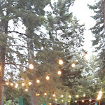 Photo n°4 de l'avis de Vincenzo.a fait le 20/08/2021 à 18:34 sur le  Amádo di del Viscio Matteo à Vico del Gargano