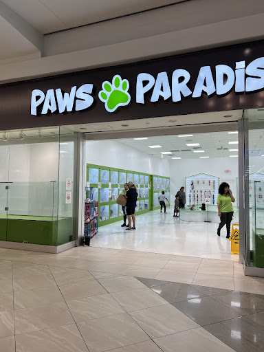 Paws Paradise