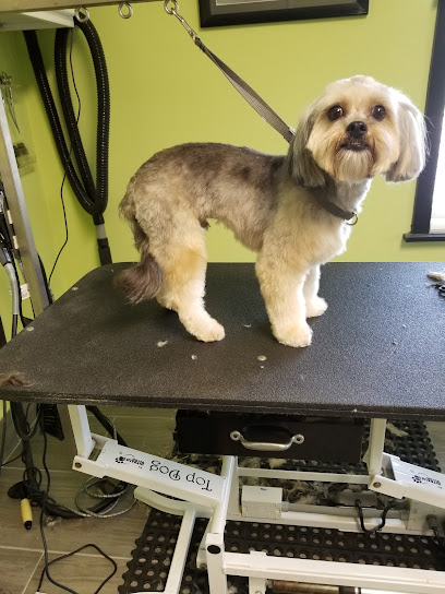Spa 4 Paws Dog Grooming Salon