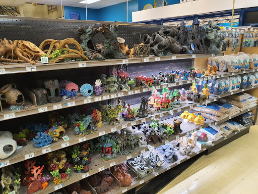 Pet Supply Store «Petco Animal Supplies», reviews and photos, 860 Broadway, New York, NY 10003, USA