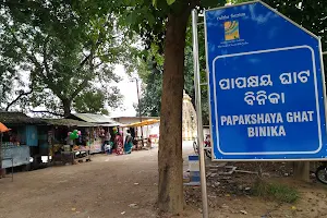 Papakshya Ghat, Binka image