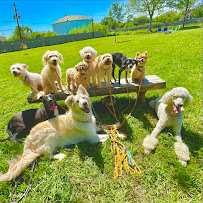 Jenevi's Pet Services - Photo 1 - Car repair in , The Woodlands