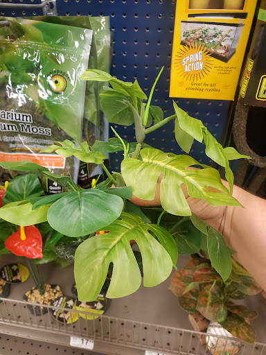 Pet Supply Store «Petco Animal Supplies», reviews and photos, 317 E Trenton Rd, Edinburg, TX 78539, USA