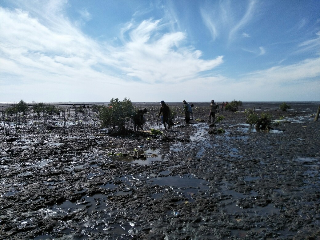 Pantai Pesisir Sumberasih Probolinggo