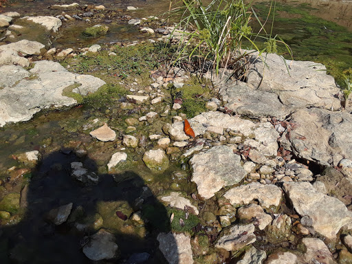 Park «Trophy Club Park», reviews and photos, 2885 Trophy Park Dr, Trophy Club, TX 76262, USA