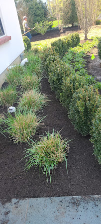 New Roch Irrigation - Photo 8 - Car repair in New Rochelle, NY, Yonkers