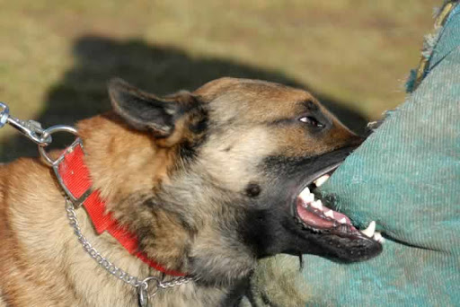 Personal Injury Attorney «Carabin & Shaw P.C., Attorneys At Law», reviews and photos