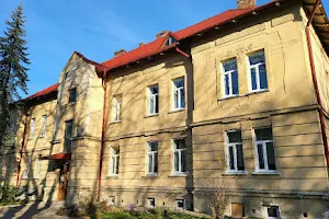 Lviv Regional Clinical Psychiatric Hospital image