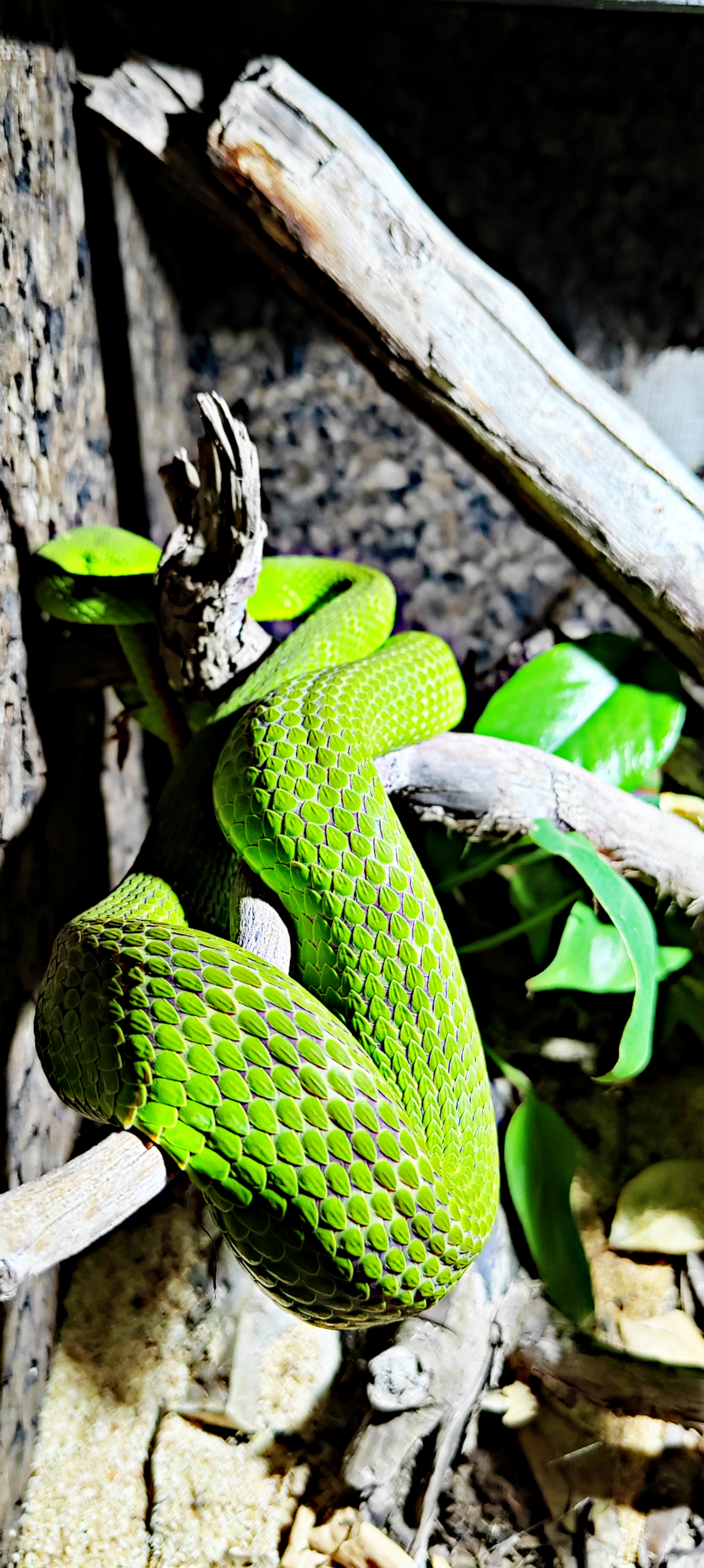 Photo n° 1 de l'avis de Sebastien.o fait le 03/07/2023 à 11:36