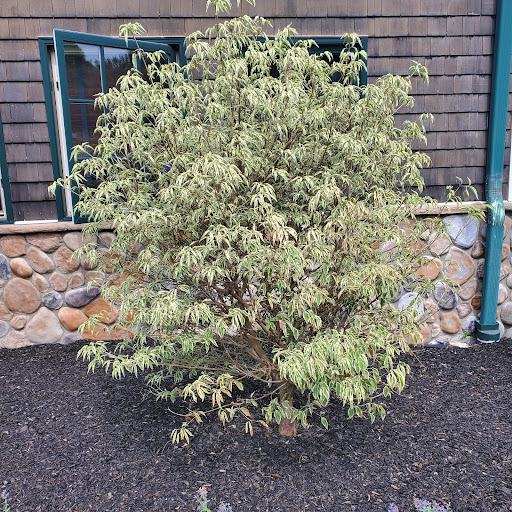 Golf Course «Berkshire Valley Golf Course», reviews and photos, 28 Cozy Lake Rd, Oak Ridge, NJ 07438, USA