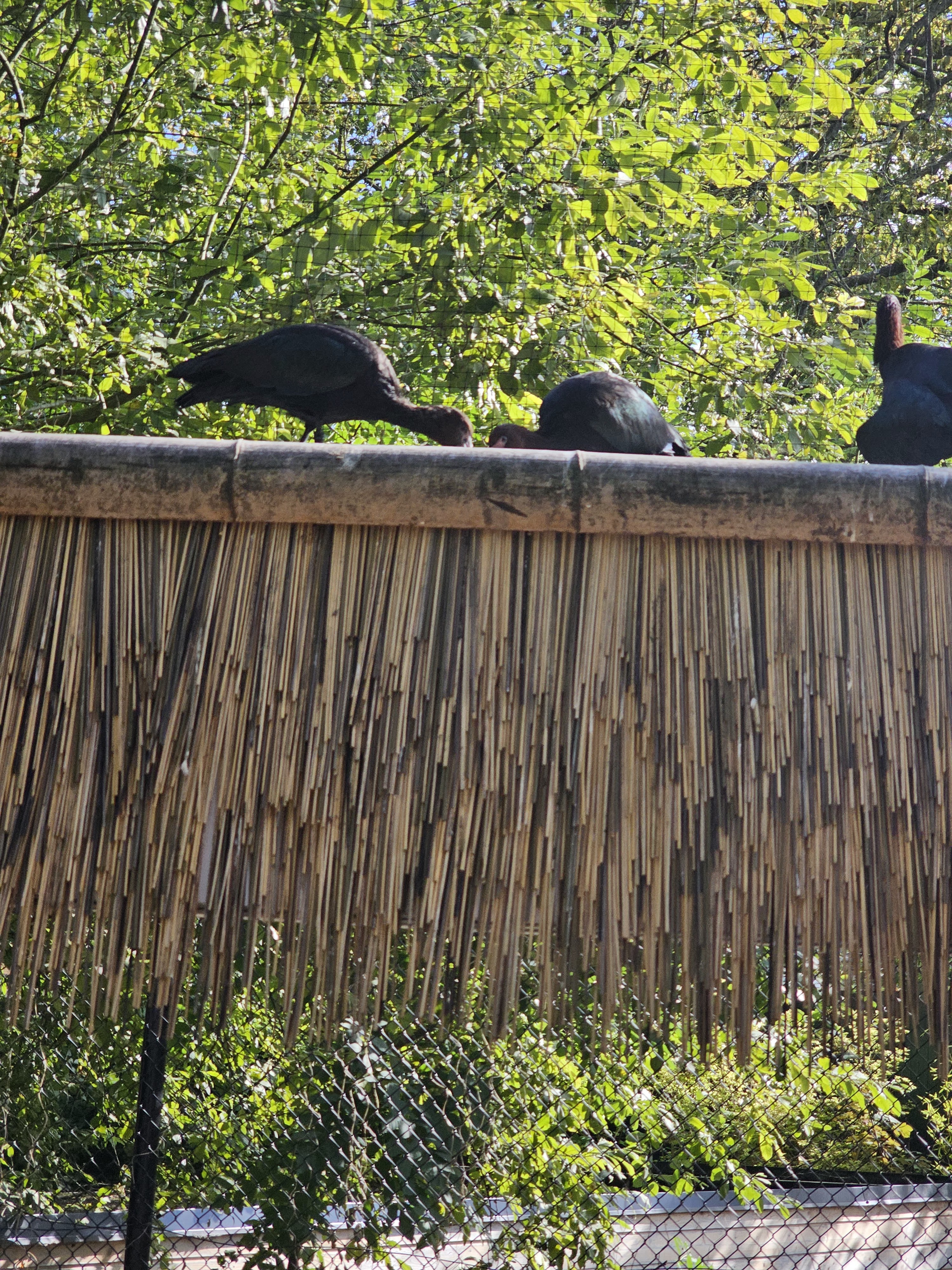 Photo n° 1 de l'avis de Marlene.U fait le 15/08/2023 à 20:08