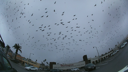 Clothing Store «Burlington Coat Factory», reviews and photos, 99 Southgate Ave, Daly City, CA 94015, USA