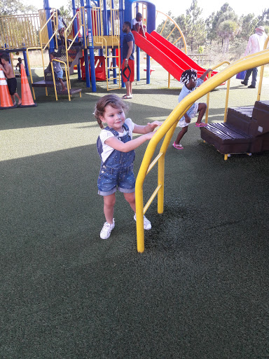 Park «Miramar Pineland Park», reviews and photos, 3600 S University Dr, Miramar, FL 33025, USA