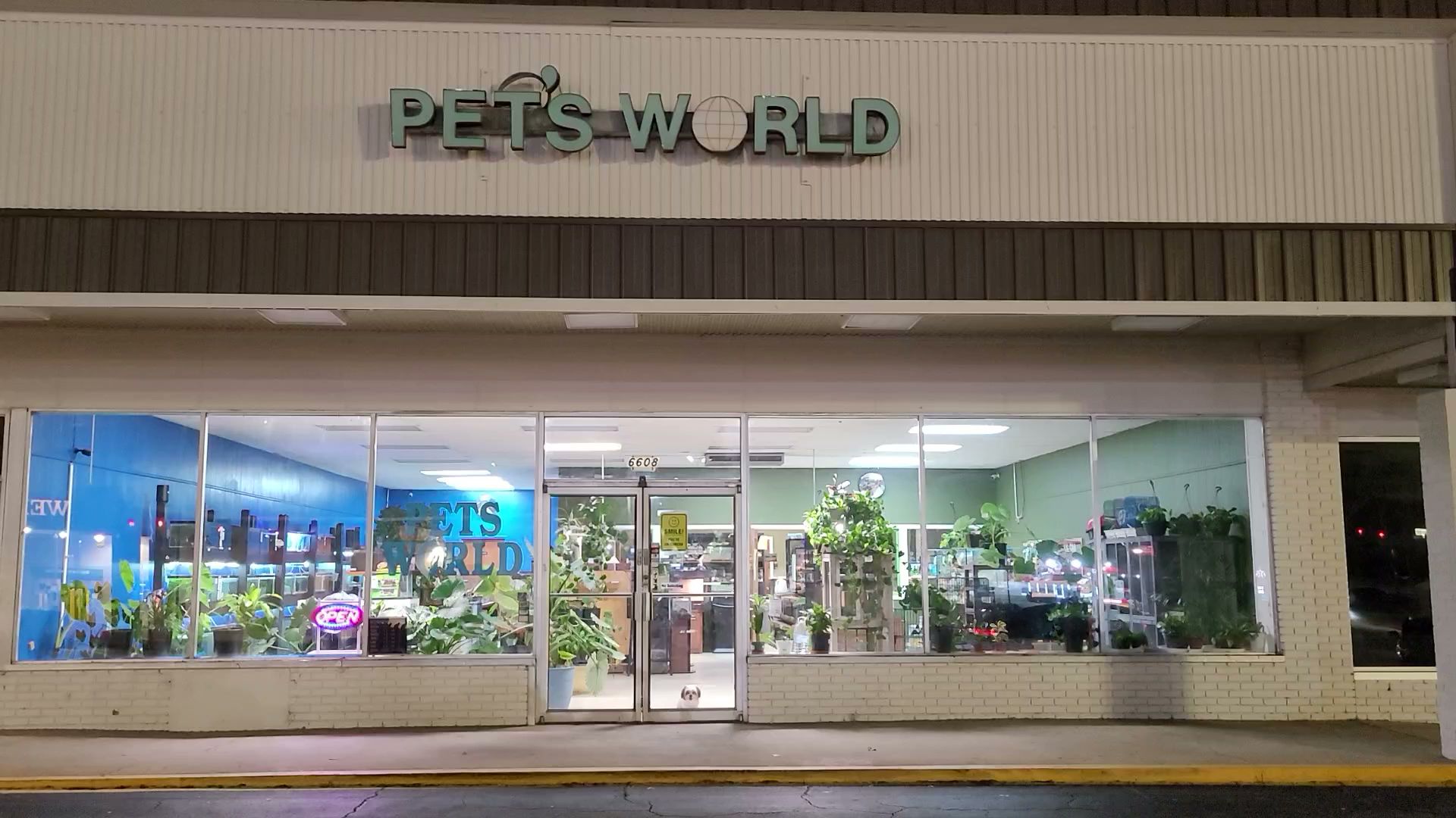 Pet's World