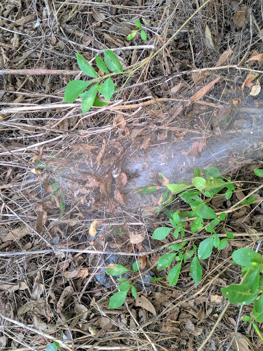 Park «Jane Dubel Park», reviews and photos, 4741 Callaghan Rd, San Antonio, TX 78228, USA