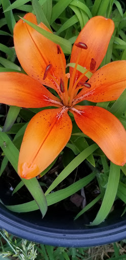 Drug Store «CVS», reviews and photos, 31 Metamora Rd, Brookville, IN 47012, USA