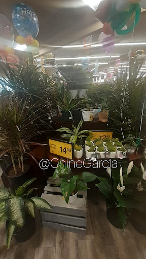 Grocery Store «Safeway», reviews and photos, 7643 Arundel Mills Blvd, Hanover, MD 21076, USA