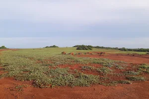 Ussangoda National Park image