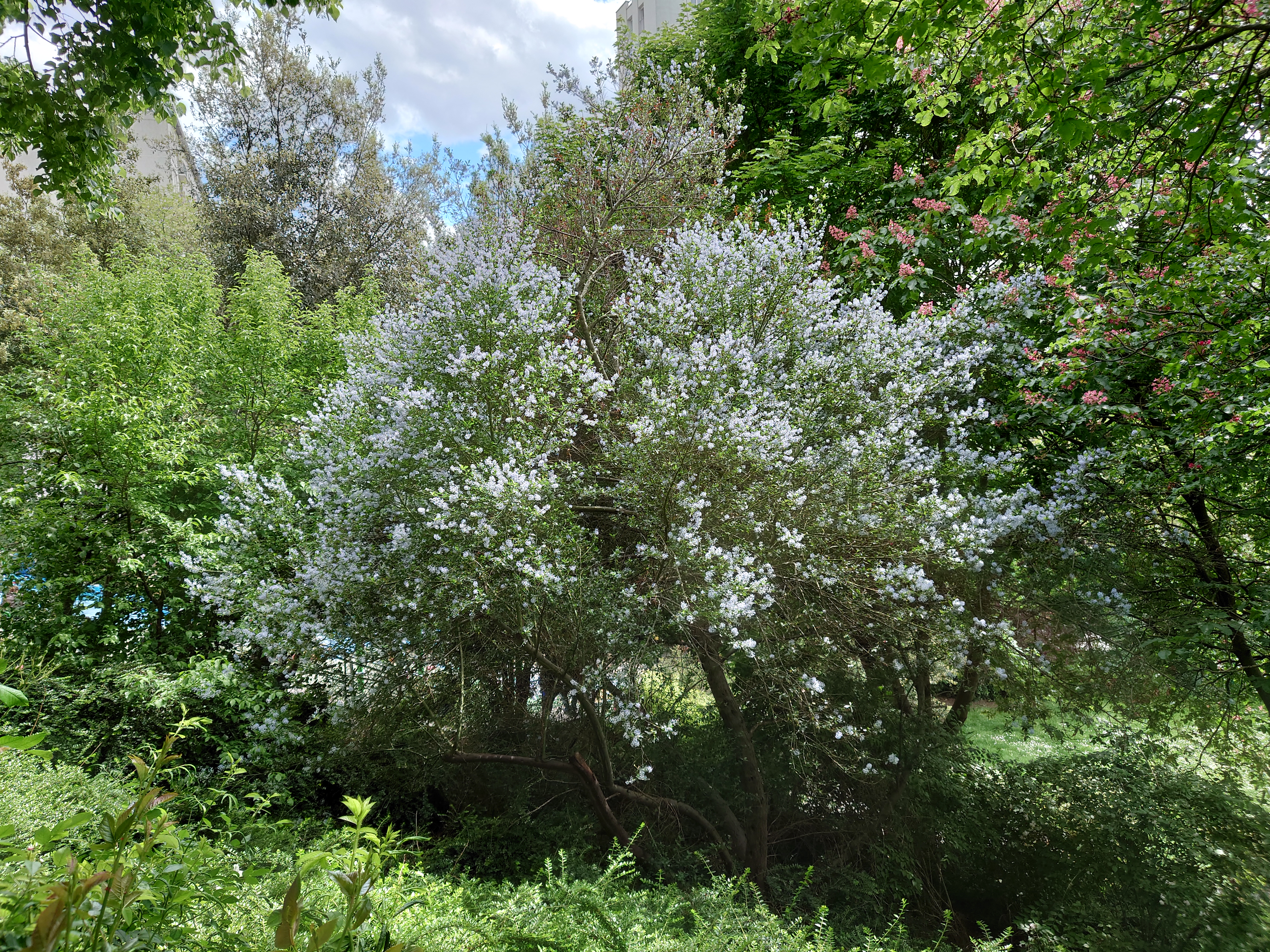 Photo n° 3 de l'avis de Thierry.e fait le 23/05/2021 à 13:56