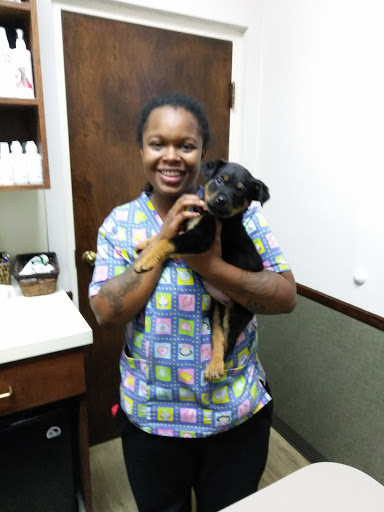 Hillcrest Animal Hospital: Erikson Laura E DVM image
