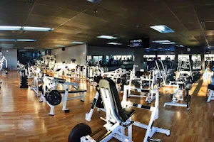 Evolugym image